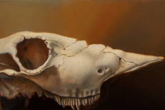 Skully Study